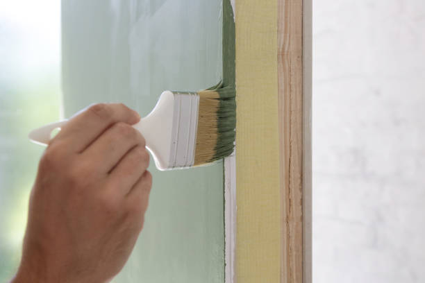 Best Black Mold Removal  in Hampton, VA