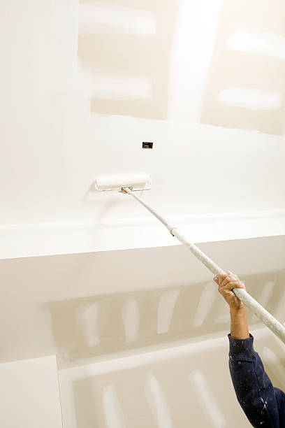 Biohazard Mold Removal in Hampton, VA